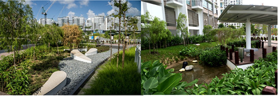 Combining landscape design with urban hydrology